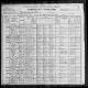 1900 United States Federal Census